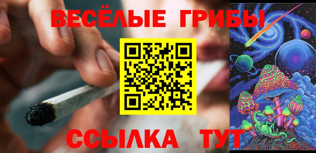 Галлюциногенные грибы прущие грибы  Псилоцибиновые грибы MAGIC MUSHROOMS  Аргун  Вход с VPN 