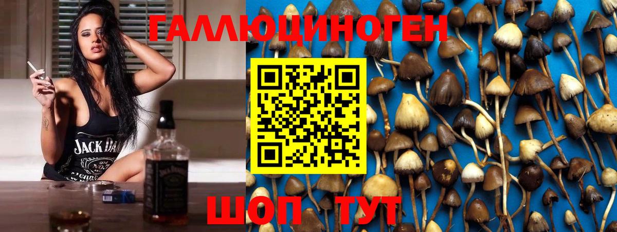 Псилоцибиновые грибы прущие грибы Аргун